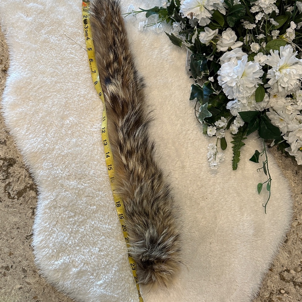 Real coyote tail